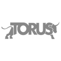 torus